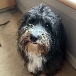 Meet your Posher, Leslie